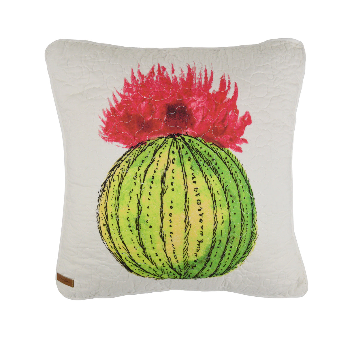 Dec Pillow, Morning Desert (barrel cactus)