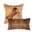 Donna Sharp Cowboy Cotton Quilt Set Pillow Set, Cowboy (set2) Bedding
