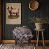 Throw Heritage Woven (Salmon) New