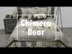 Donna Sharp Chimera Bear Quilt Set