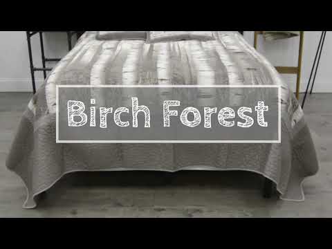Donna Sharp Birch Forest Cotton Quilted Bedding
